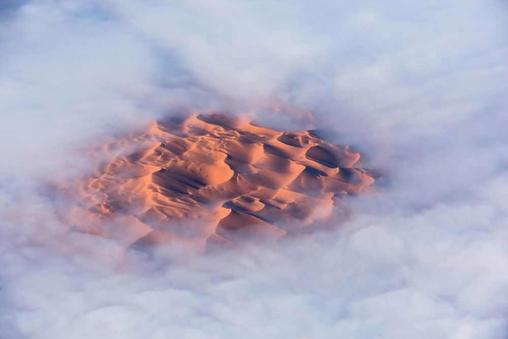 "اليوم" تتجول في "محمية ومعامل" كنز النفط الاستثنائي في قلب صحراء الربع الغالي