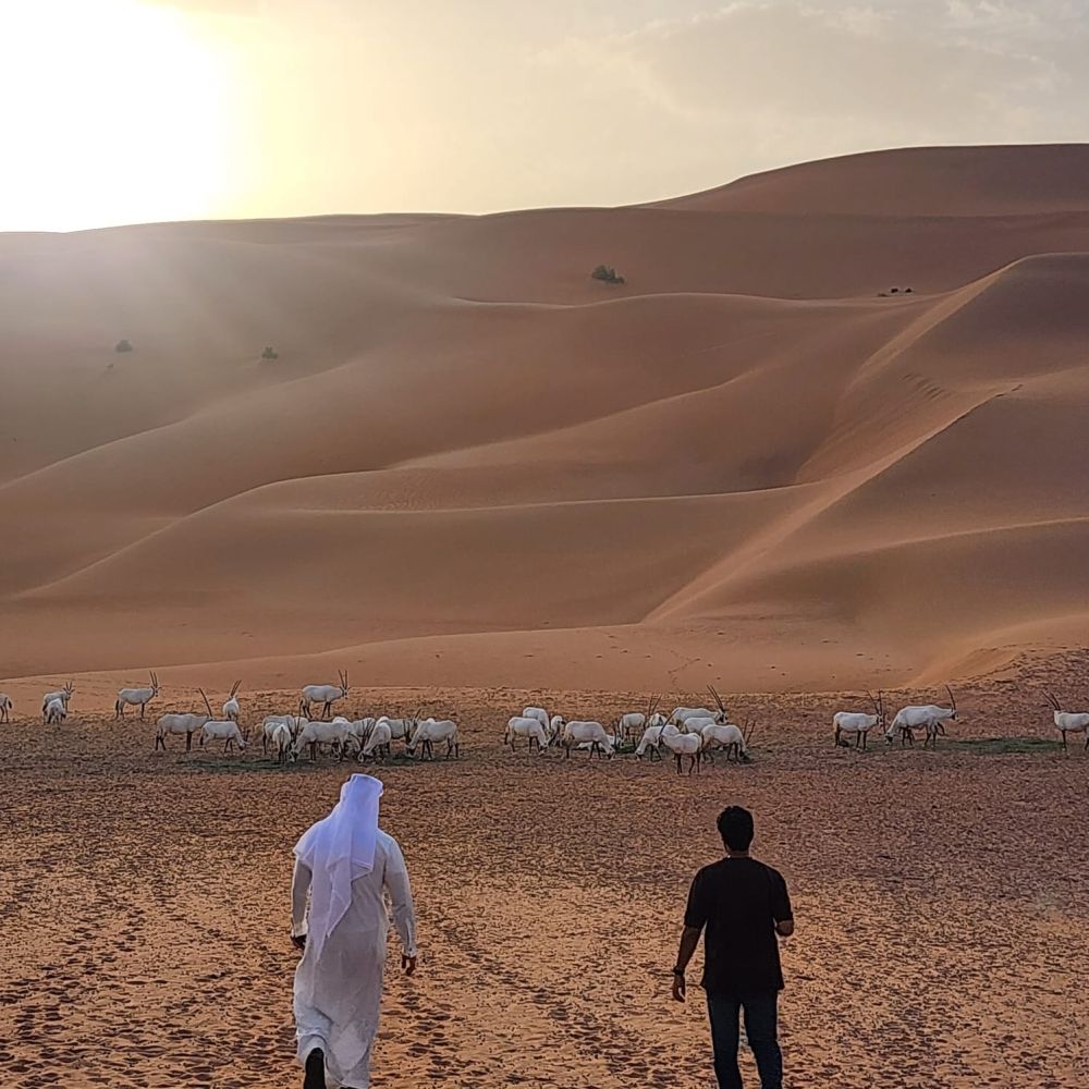 "اليوم" تتجول في "محمية ومعامل" كنز النفط الاستثنائي في قلب صحراء الربع الغالي