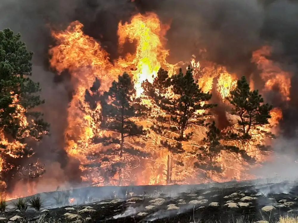أمريكا.. حريق غابات يلتهم آلاف الأفدنة بولاية نبراسكا
