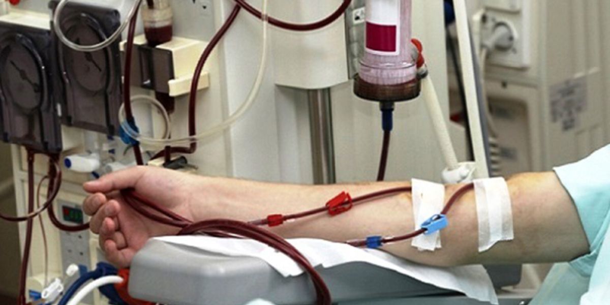 إب.. مرضى زراعة الكلي يطلقون مناشدة لتوفير صنف علاجي مهم لاستمرار حياتهم