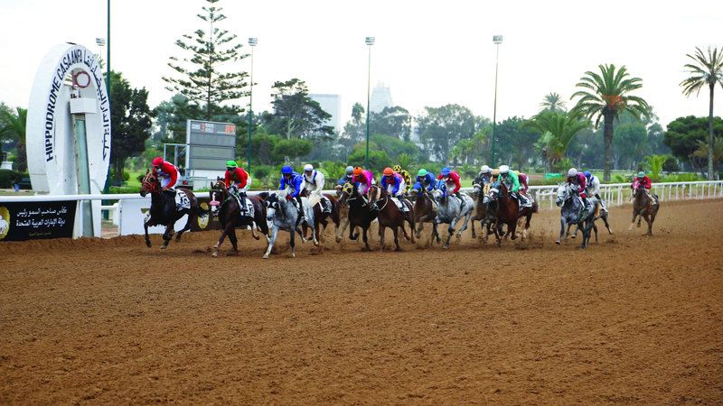 الامارات | انطلاق كأس رئيس الدولة في المغرب اليوم بمشاركة 17 خيلاً