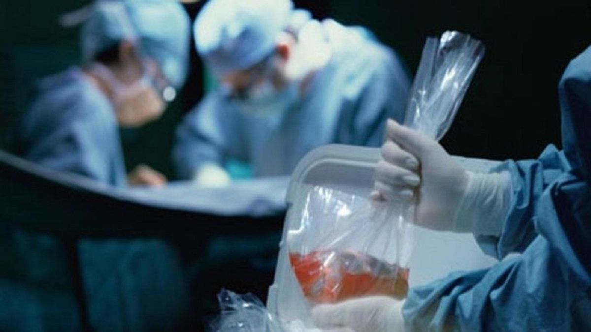 الامارات | سلطنة عمان: منح وسام سامٍ للمتبرعين بأعضائهم