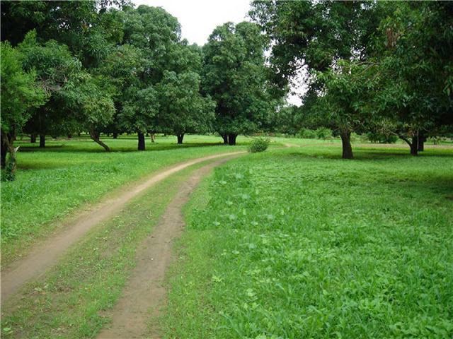 “نظام البوت”.. فرز عطاء إنشاء وتشغيل عدد سبعة محطات خدمية بترولية بالقضارف