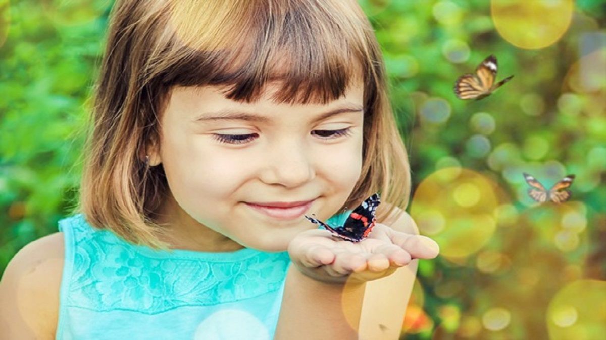 الامارات | أول حديقة فراشات في أبوظبي: استعدوا لالتقاط الصور الرائعة