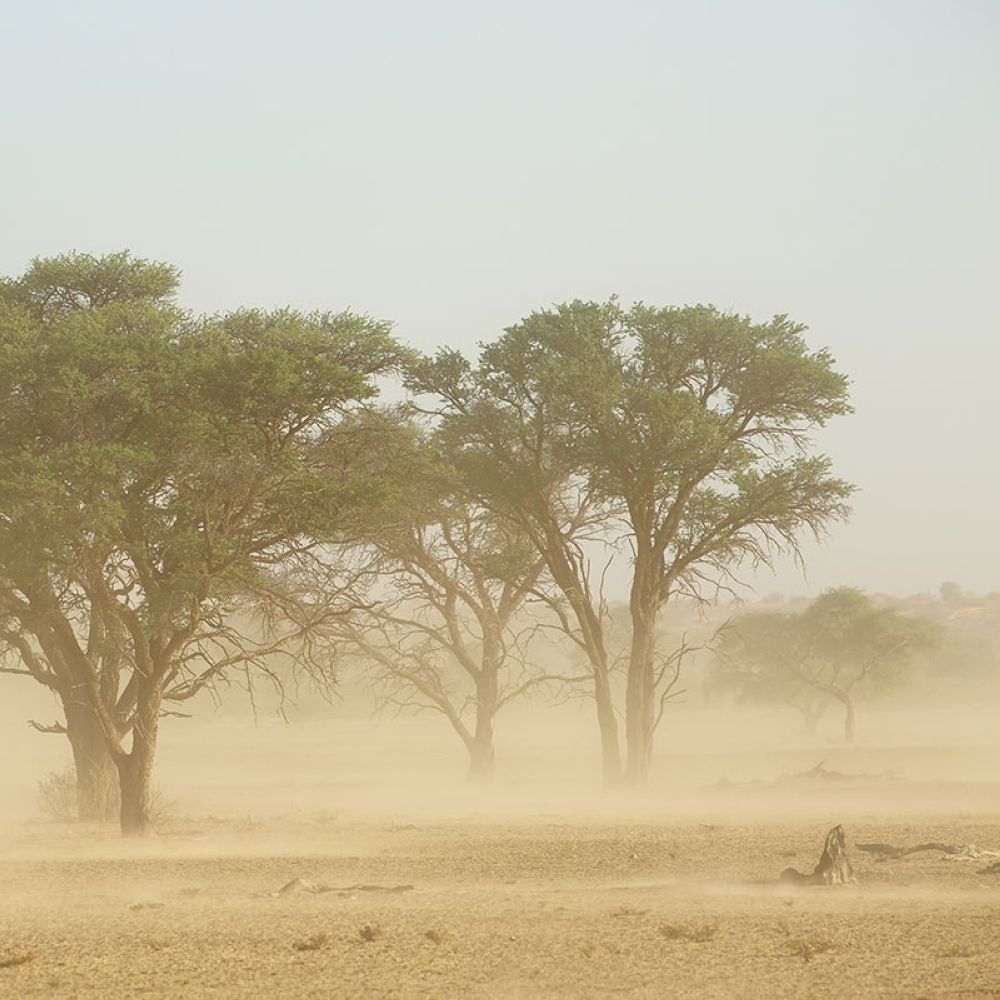 إجراءات وقائية.. إرشادات صحية للحماية من العواصف الغبارية والرملية