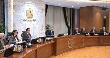 مجلس الوزراء يستعرض آراء المواطنين حول انخفاض أسعار بعض السلع.. فيديو