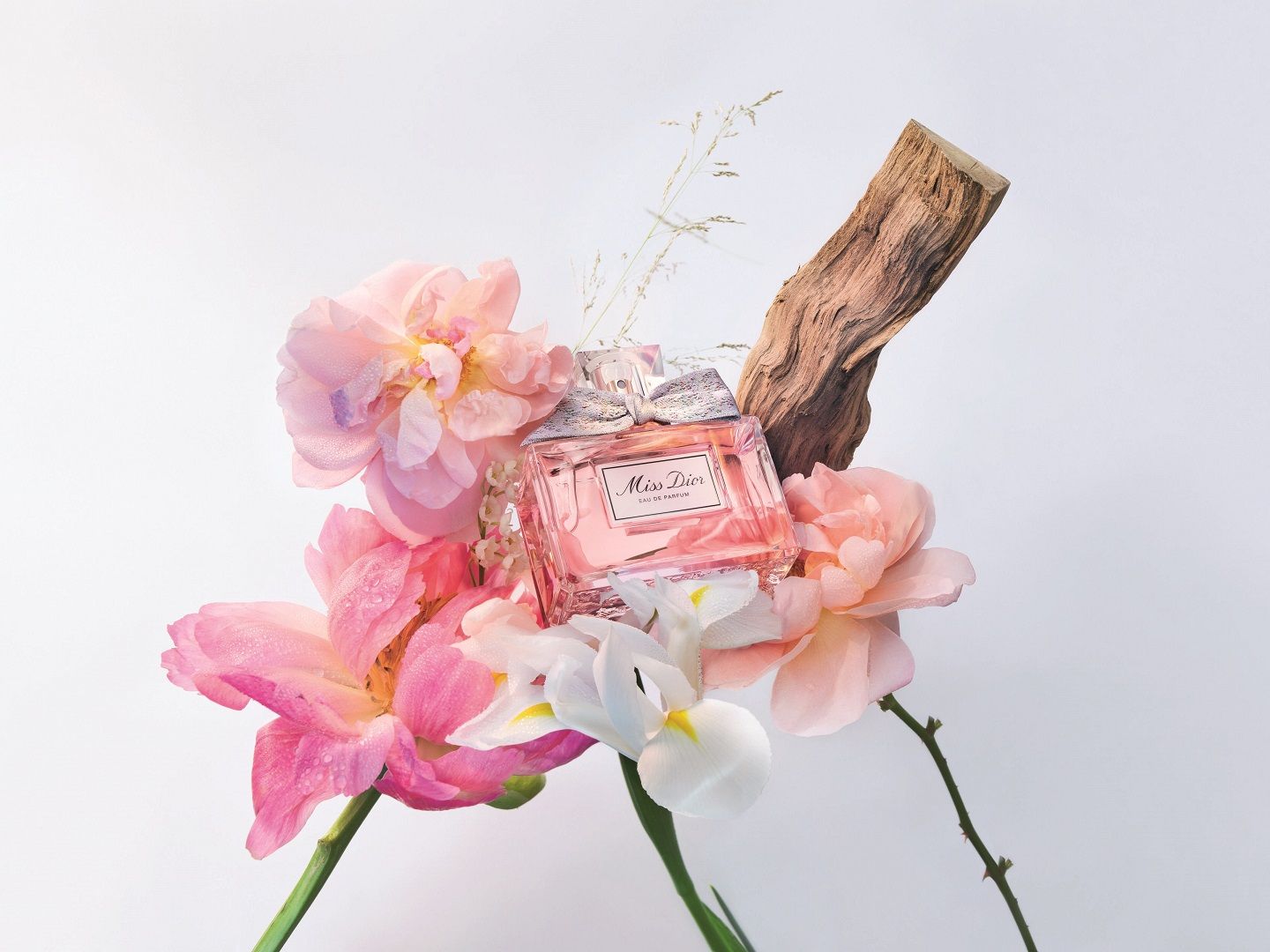 أجمل العطور النسائية لصيف 2025: انتعاش وأناقة من توقيع دور الأزياء العالمية