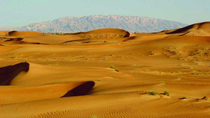 الامارات | صبحة الخييلي: البادية علمتنا السعادة والرضا بأقل الأشياء