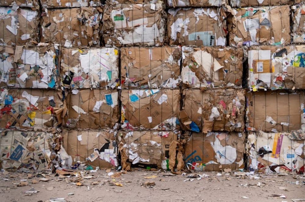 “بيئة صحية مستدامة”.. 8 توصيات لتحويل إدارة النفايات إلى ثروة وطنية