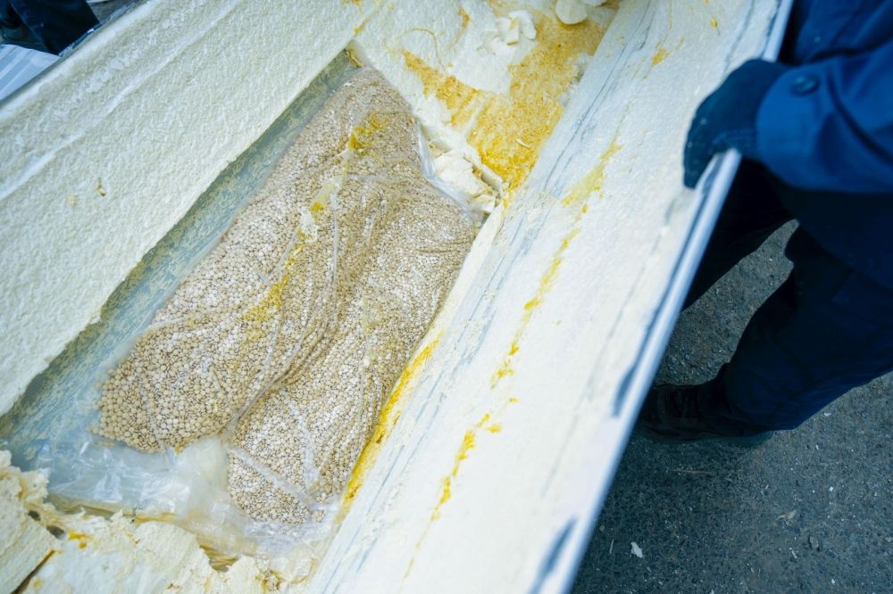 ميناء جدة الإسلامي.. إحباط تهريب 1.5 مليون حبة من مادة الإمفيتامين