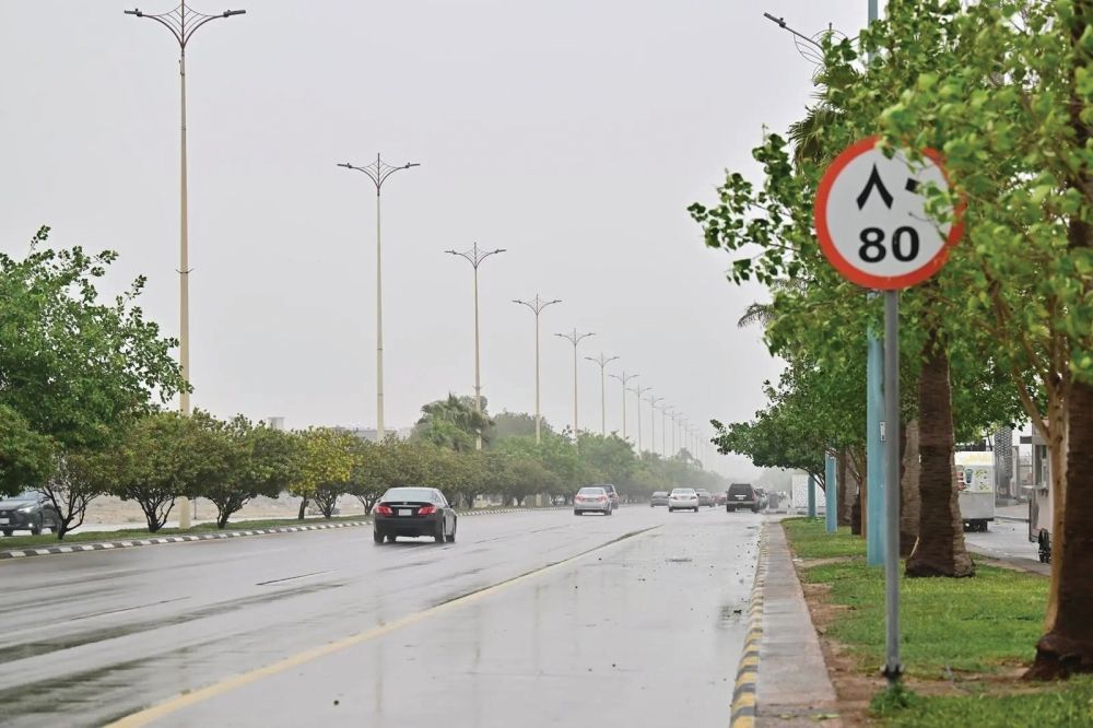 طقس السبت.. أمطار رعدية ورياح تحد من الرؤية على 10 مناطق