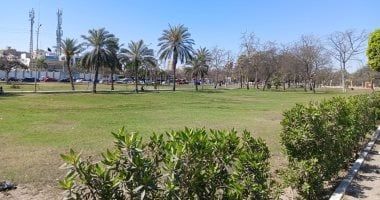 أخبار مصر.. الطقس غدا مائل للحرارة وتوقعات بسقوط أمطار والعظمى بالقاهرة 26