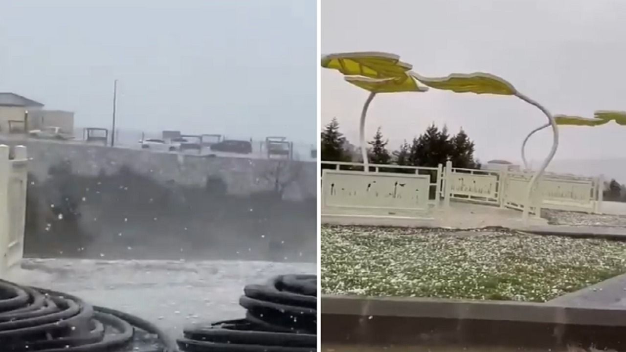 بردية غزيرة في الباحة .. فيديو