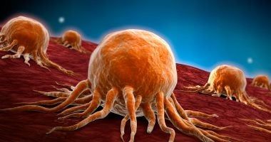 بريطانيا تطور أداة رقمية جديدة تبشر بعلاج وتشخيص أسرع لمرضى السرطان