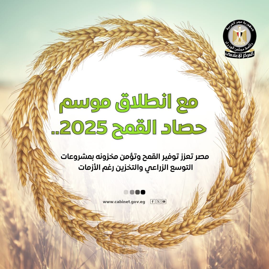 الحكومة تستعرض بالإنفوجراف جهود تعزيز الإنتاج المحلى من القمح وتأمين مخزونه