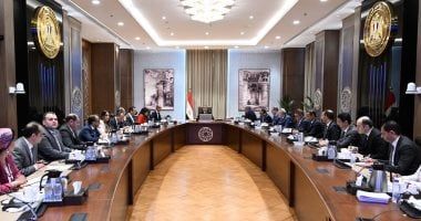 مجلس الوزراء: إجمالى مبيعات مراحل مبادرة "بيت الوطن" وصل لـ10 مليارات دولار