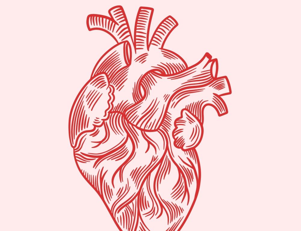 استشاري قلب يؤكد علاقة الغبار بزيادة خطر الجلطات القلبية