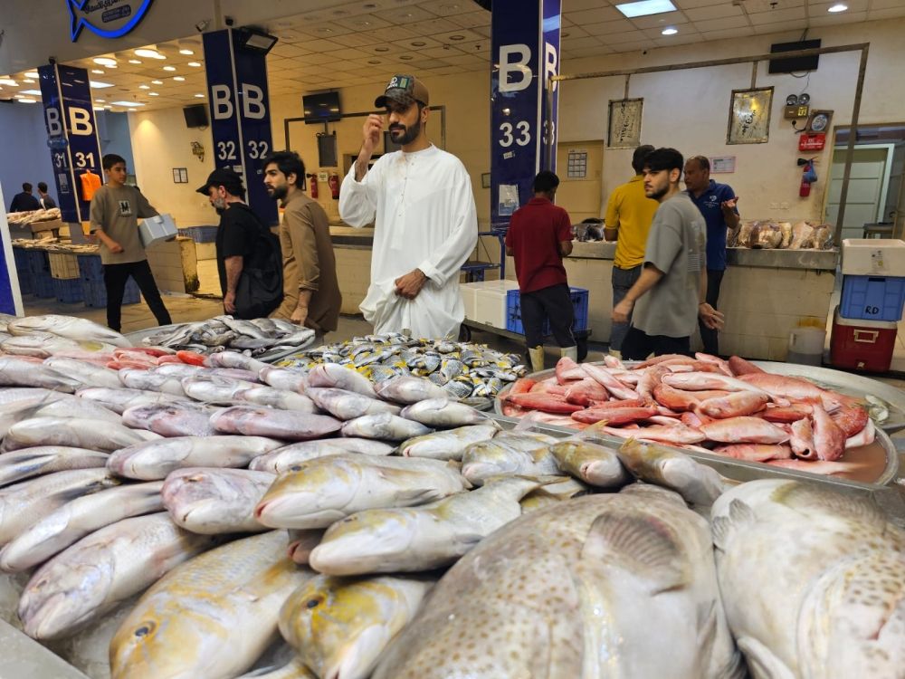 ضوابط صارمة لضبط درجات حرارة الأسماك.. ومنع إعادة التجميد بالأسواق