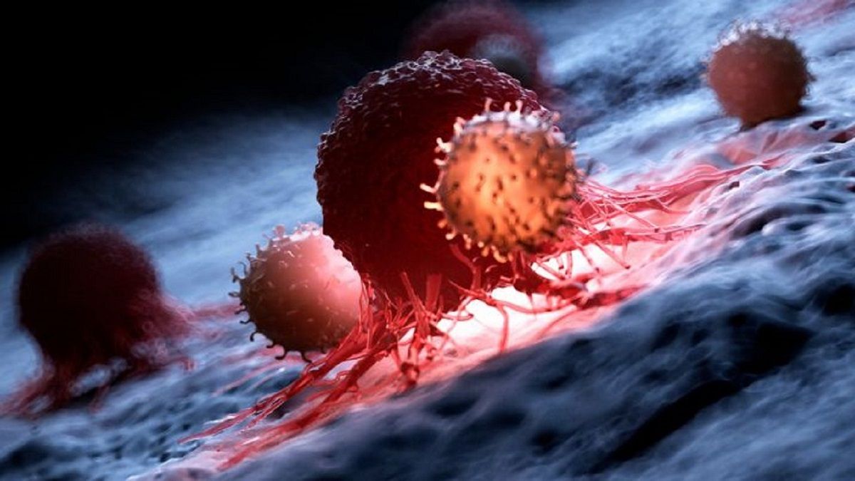 الامارات | سؤال يؤرق الأطباء: ما الذي يجعل المرض الخبيث يضرب مجدداً بعد الشفاء؟