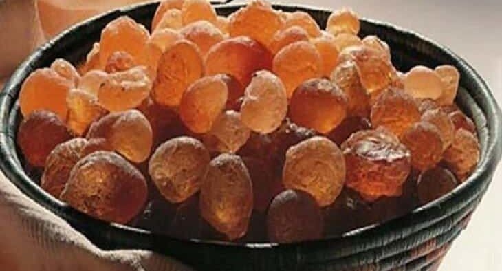 وزير الزراعة والغابات: تأمين الصمغ العربي من التهريب