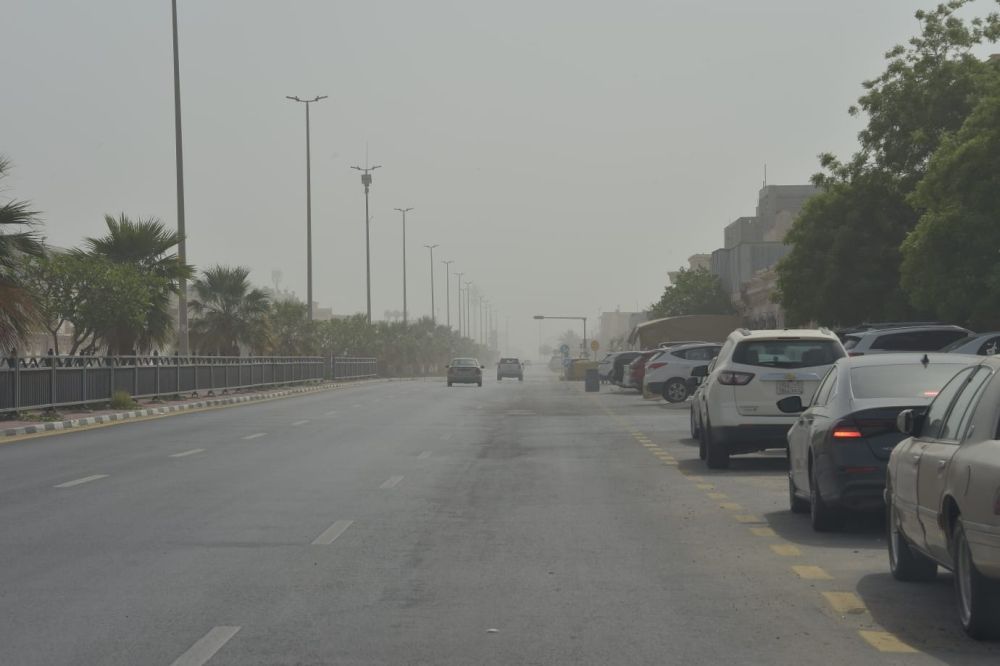 "مركز العواصف": انخفاض العواصف الغبارية على المملكة بنسبة 41% خلال أبريل