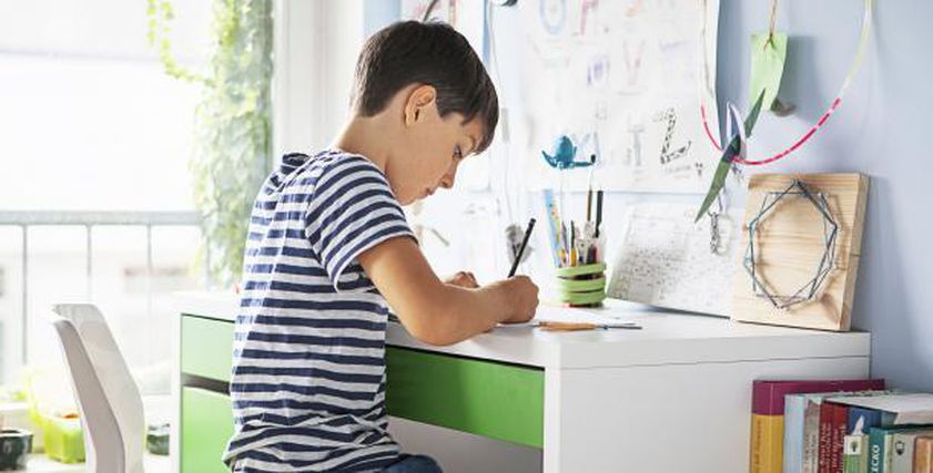 7 أكلات ضرورية قبل الامتحانات لتعزيز تركيز ابنك.. عشان يذاكر كويس