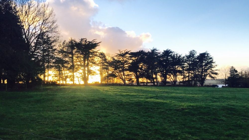 الدمام 35 مئوية.. بيان درجات الحرارة العظمى على بعض مدن المملكة