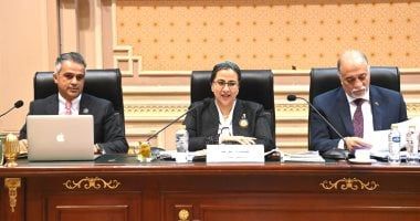 المجلس القومى للمرأة: المرأة تعيش عصرها الذهبى فى عهد الرئيس السيسي