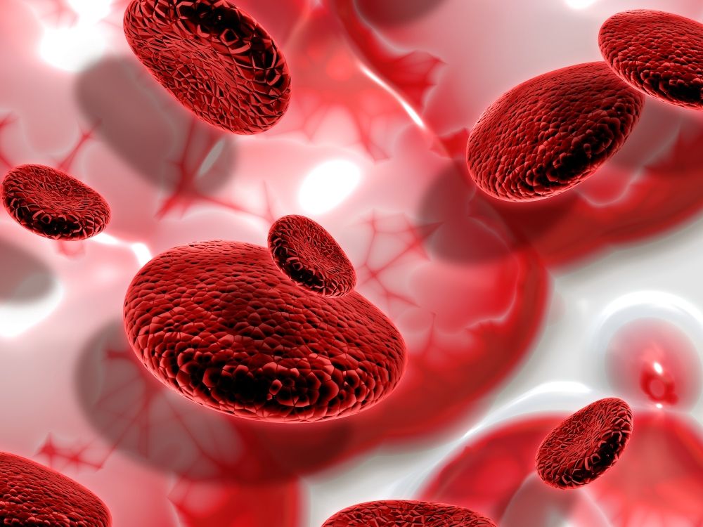 مختصون لـ"اليوم": الثلاسيميا رحلة طويلة من التحديات.. والعلاج الجيني يفتح أبواب الأمل