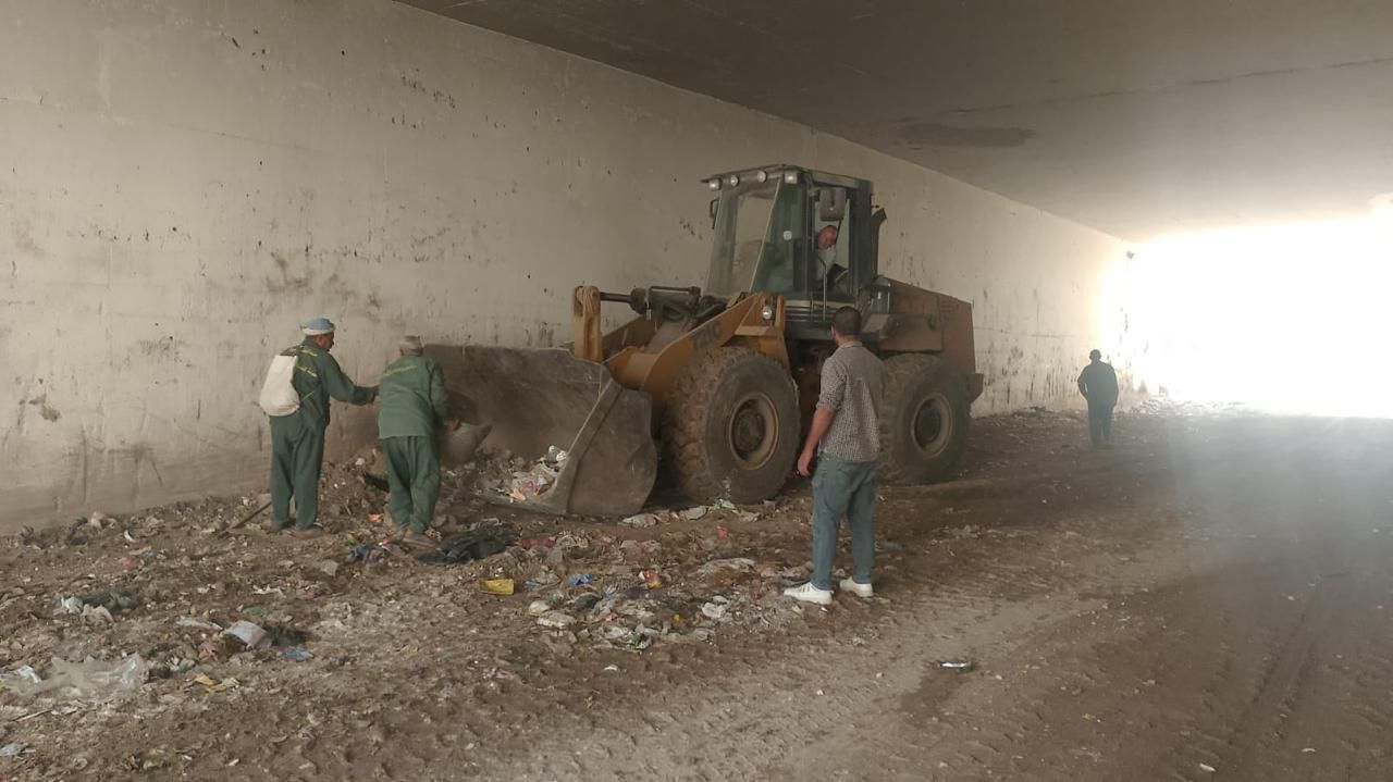 محافظة الجيزة ترفع 150 طن مخلفات وتضبط 20 فريزًا للقمامة