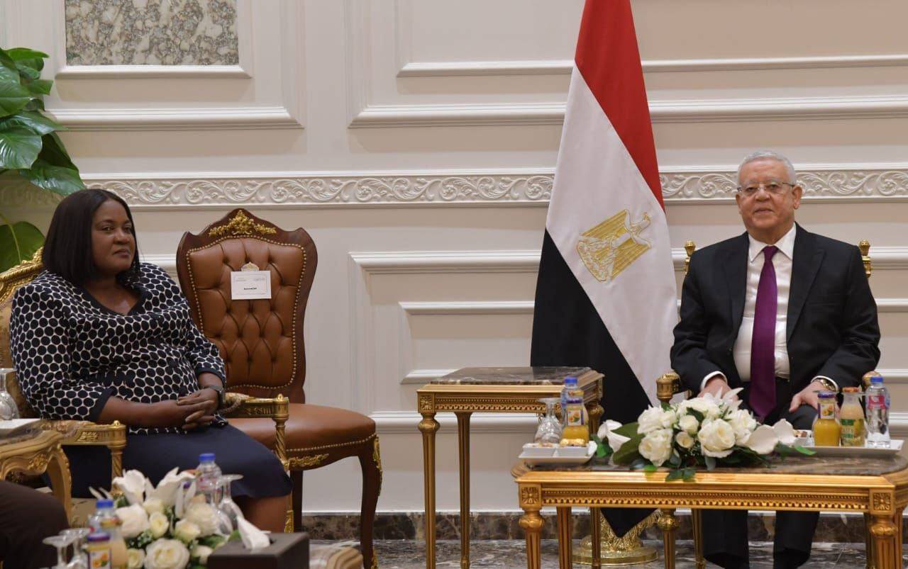 رئيس مجلس النواب يؤكد موقف مصر الثابت من القضية الفلسطينية