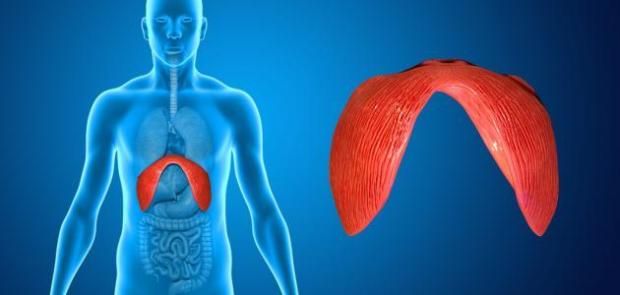 أعراضه خطيرة وأسبابه متعددة.. ماذا تعرف عن فتق الحجاب الحاجز؟