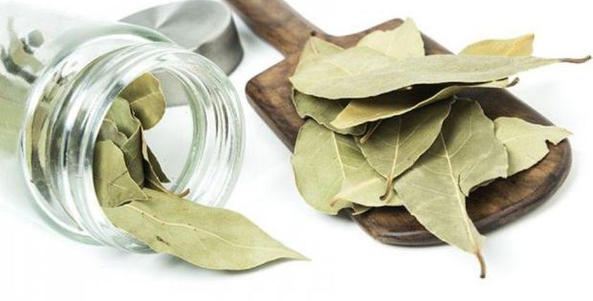 فوائد مذهلة عند شرب ورق السدر قبل النوم.. يعزز المناعة ويحمي القلب