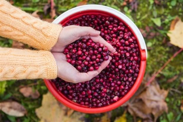 مشروب سحري طبيعي للمناعة والجمال.. يحوي مضادات أكسدة وفيتامينات