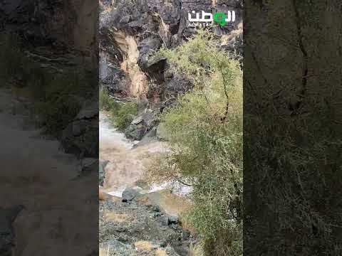 القبض على مقيمة مصرية بالرياض لنشرها إعلانات حج وهمية