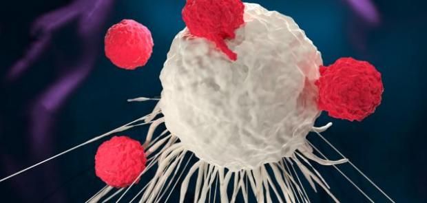 تعرف على مرض ابنة الفنان صبحي خليل.. «احتاجت 74 جلسة كيماوي»