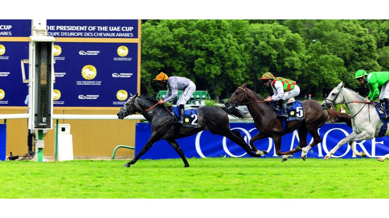 الامارات | «لوسيل» يُحلّق بكأس رئيس الدولة للخيول العربية في باريس