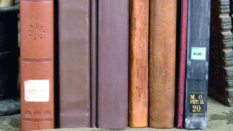 الامارات | «مركز جمعة الماجد» يضيء على أهمية «النسخية»