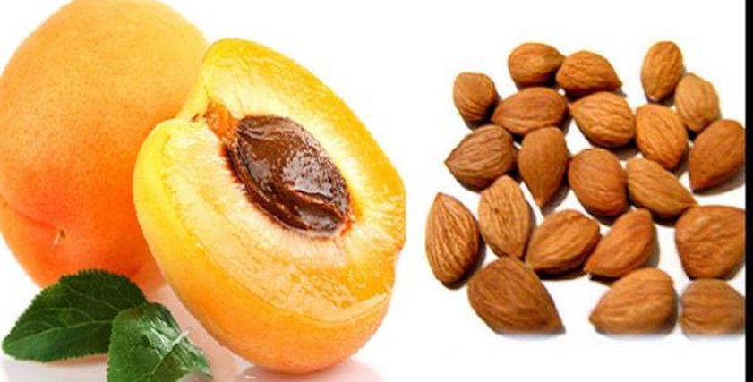 فاكهة صيفية صغيرة الحجم تقاوم الالتهابات وتفيد البشرة.. الحقها قبل ما تختفي