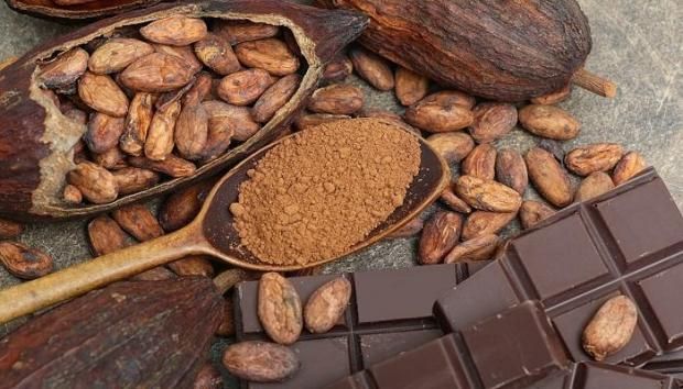 بيقوي القلب ويروق المزاج.. تعرف على فوائد الكاكاو المذهلة
