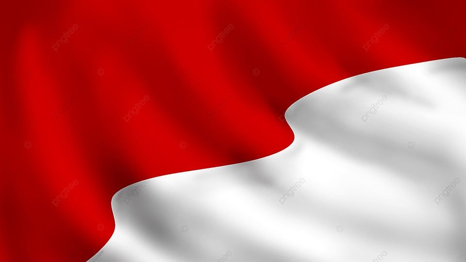 كوريا وإندونيسيا تؤكدان ضرورة تعزيز التعاون الإستراتيجي بين البلدين