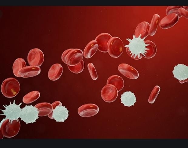 ماذا يحدث لجسمك عند الإفراط في تناول التورين بمشروبات الطاقة؟.. دراسة تحذر منها