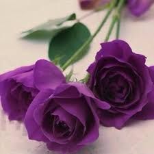 المرأة في العزاء أجمل منها في الحفل!