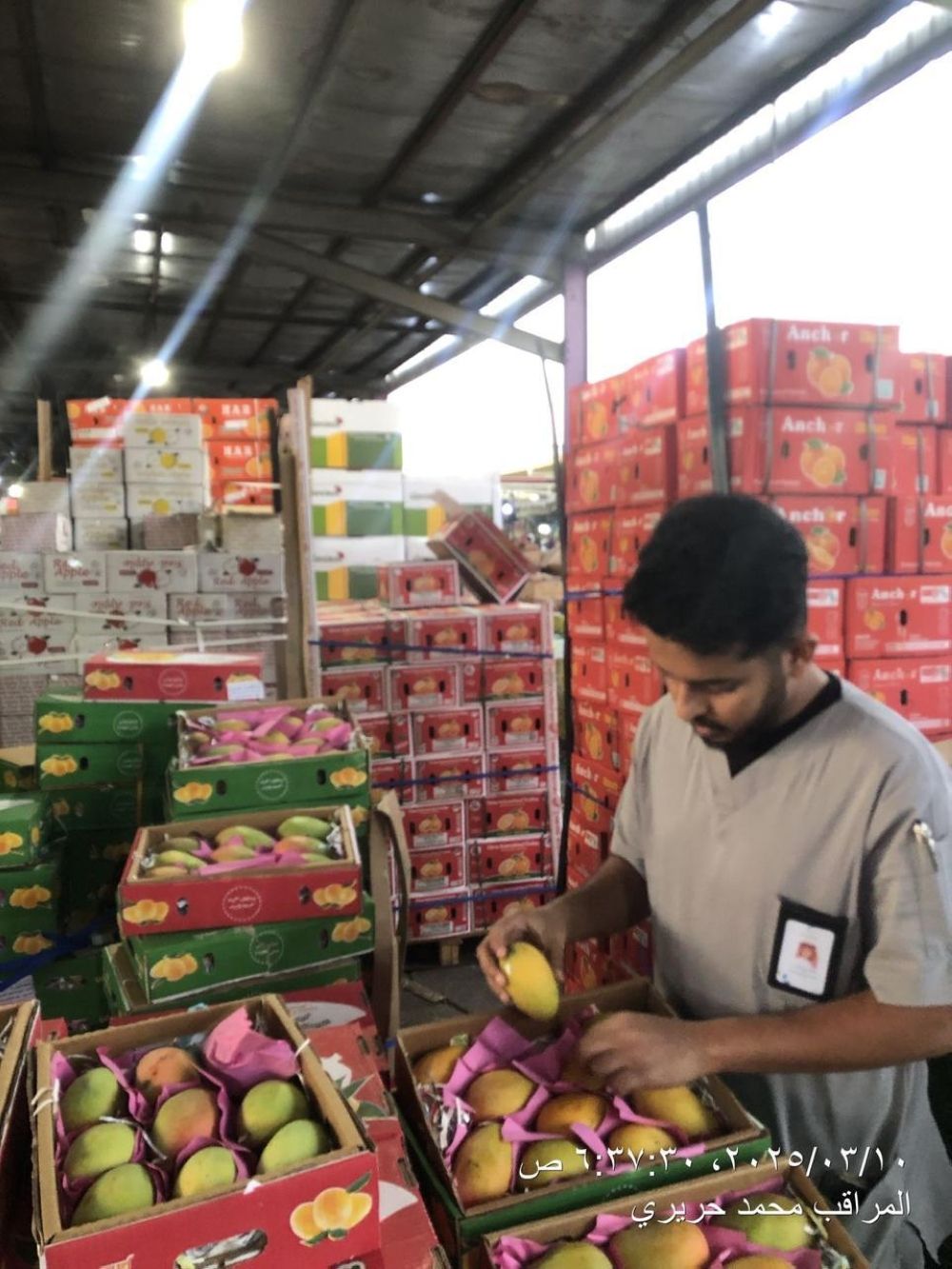 5 آلاف جولة رقابية و54 فرصة تطوعية.. "بيئة مكة" تكثف جهودها الميدانية