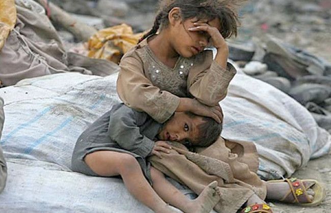 قلوب من حجر… و سياط من نار