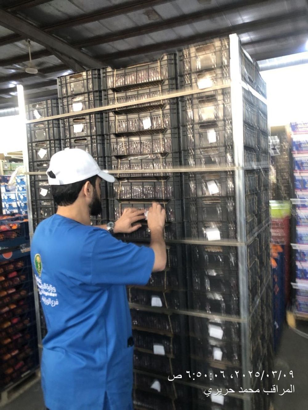 5 آلاف جولة رقابية و54 فرصة تطوعية.. "بيئة مكة" تكثف جهودها الميدانية