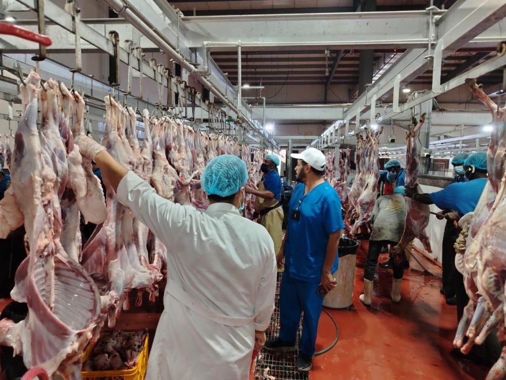 5 آلاف جولة رقابية و54 فرصة تطوعية.. "بيئة مكة" تكثف جهودها الميدانية