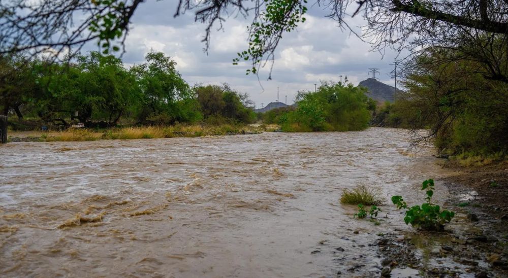 "مركز الأرصاد": أمطار متوسطة ورياح شديدة على منطقة الباحة