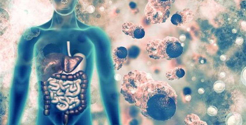 بعد تحذيرات من انتشاره في الصيف.. طرق انتشار «كورونا» والفئات المعرضة للخطر