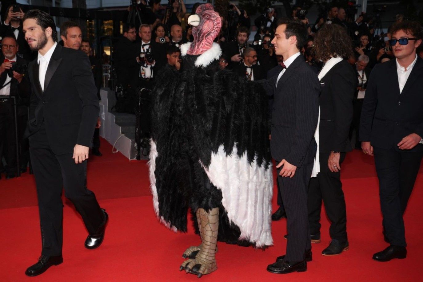 ديك رومي على السجادة الحمراء لمهرجان كان.. ما القصة؟